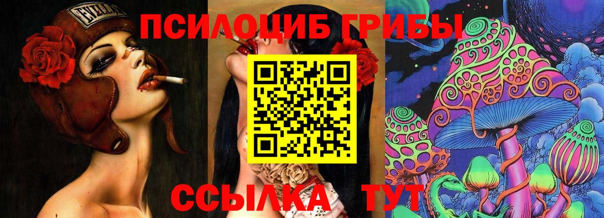 Галлюциногенные грибы GOLDEN TEACHER  Вход с VPN  Старый Оскол 